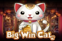 Big Win Cat